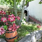 Ilas Dugi Otok *